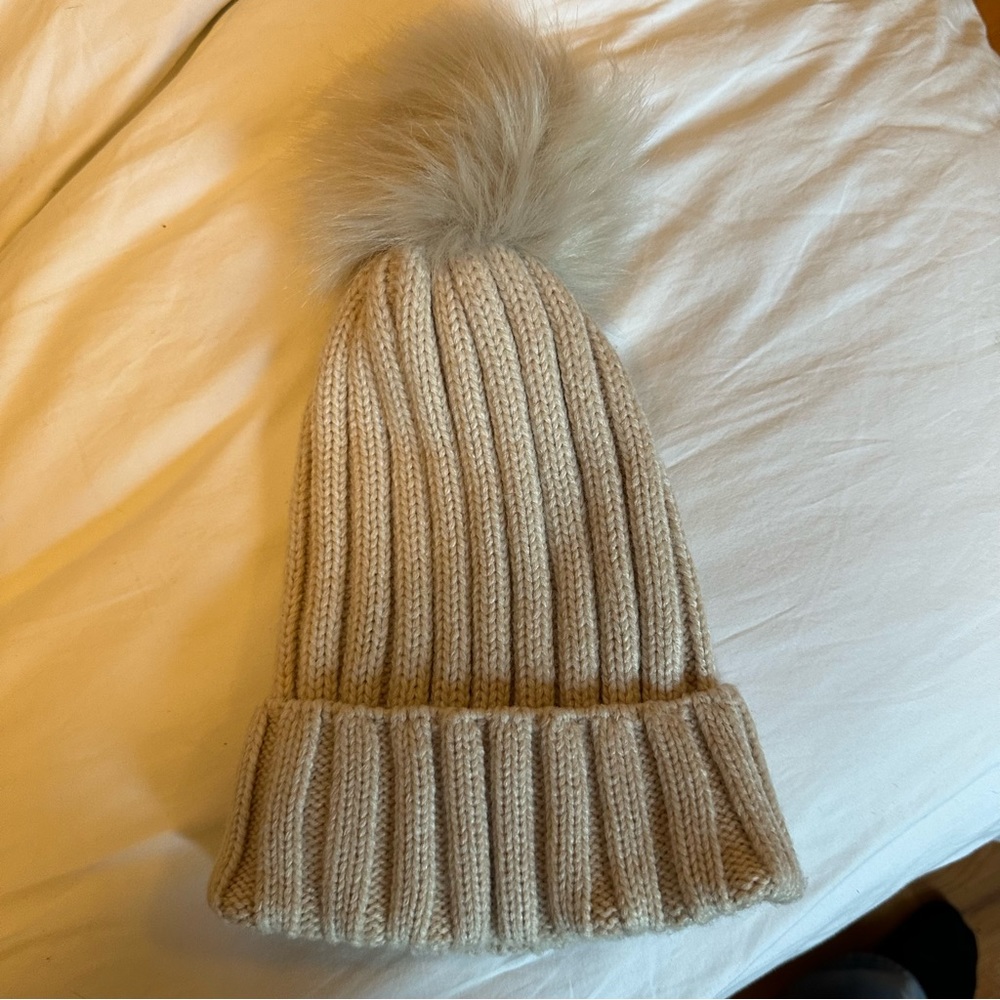 Aritzia Pom Knit Beanie